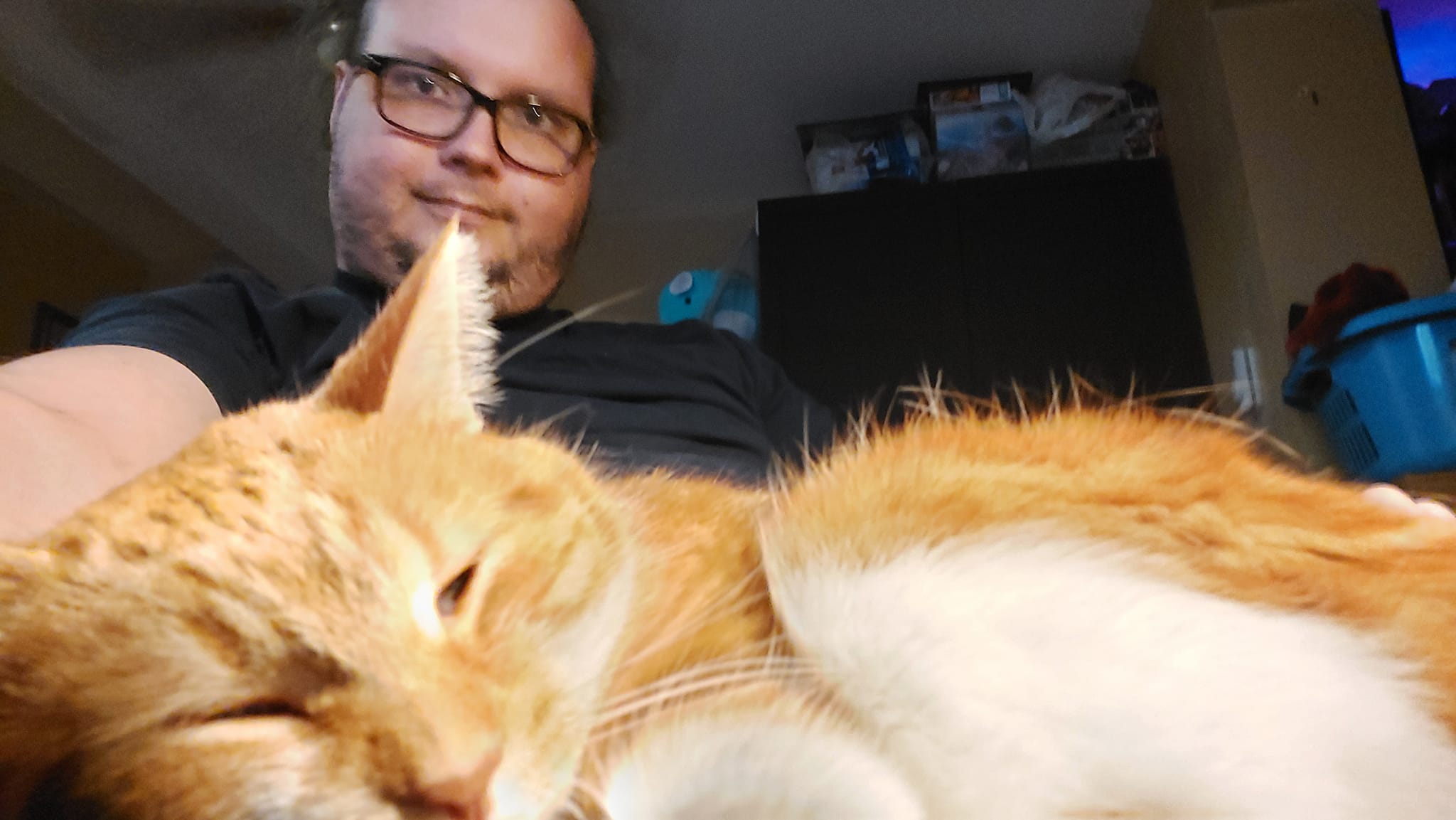 A man with thin green hair sits in a computer chair with a sleeping orange cat cuddled in his lap, the cat takes up half the frame